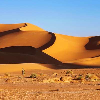 Algeria