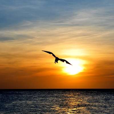 Aruba