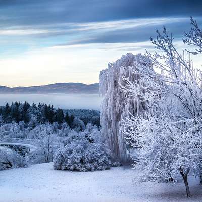 Austria
