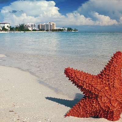Bahamas