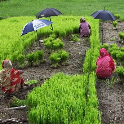 Bangladesh