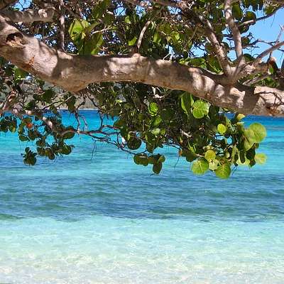 Barbados