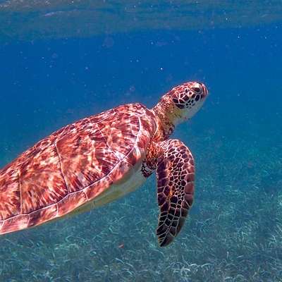 Belize