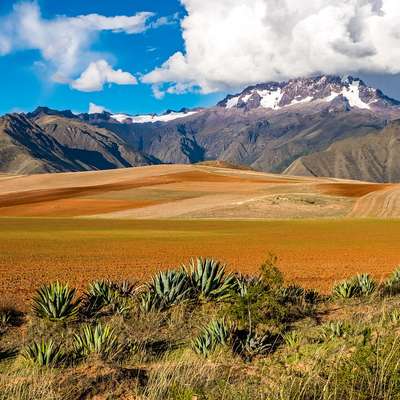 Bolivia