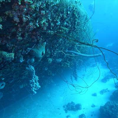 Bonaire St Eustatius and Saba