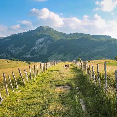 Bosnia and Herzegovina