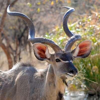 Botswana