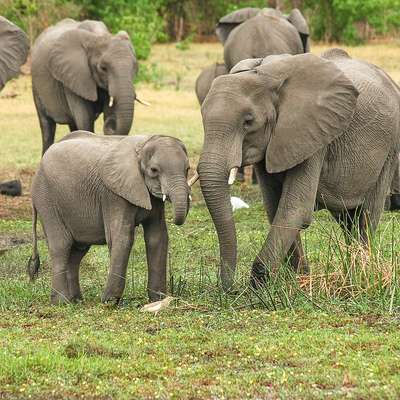 Botswana