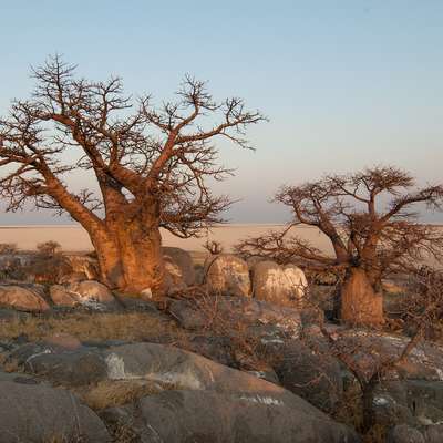Botswana