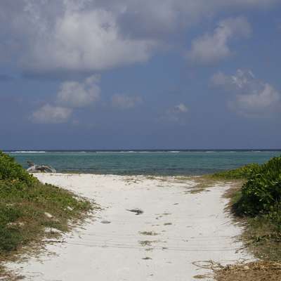 Cayman Islands