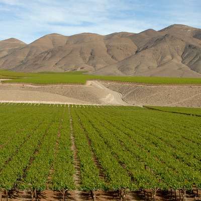 Chile