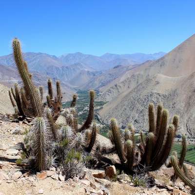 Chile