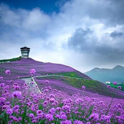 China
