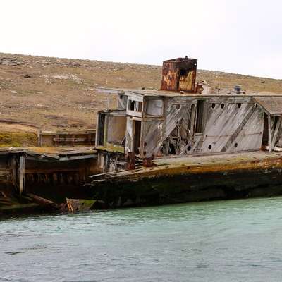 Falkland Islands (Malvinas)