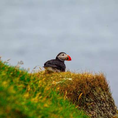 Faroe Islands