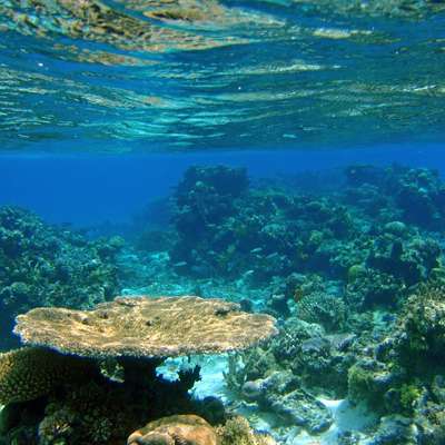 Fiji