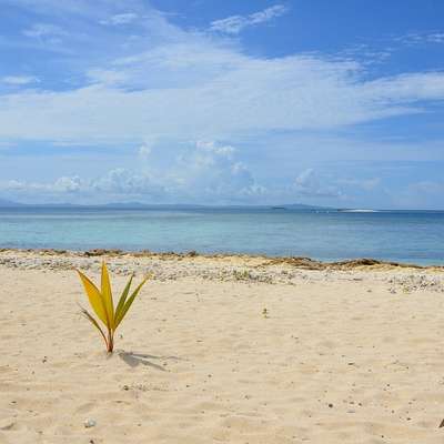 Fiji