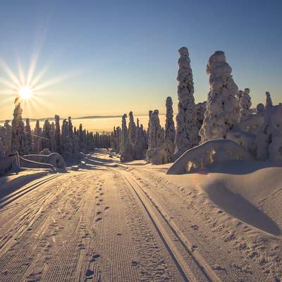 Finland