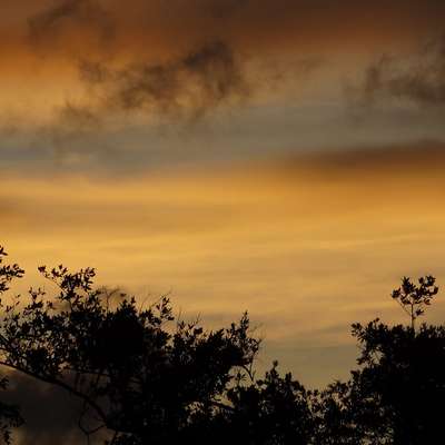 French Guiana