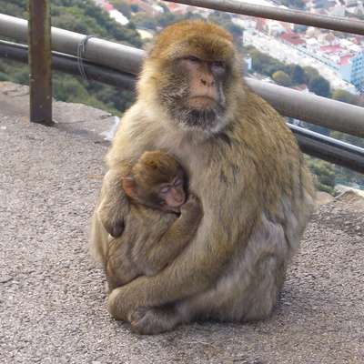 Gibraltar