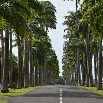 Guadeloupe