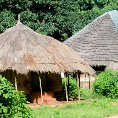 Guinea