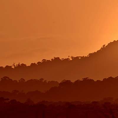Guyana