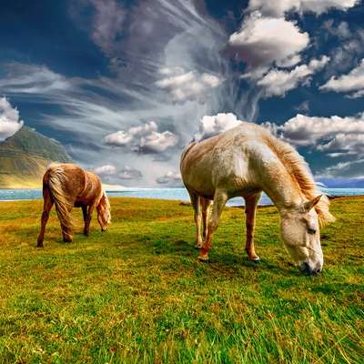 Iceland