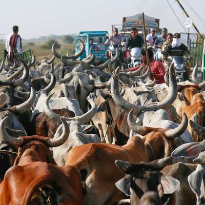 India