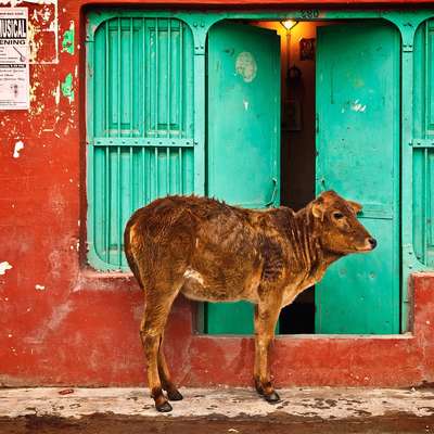 India