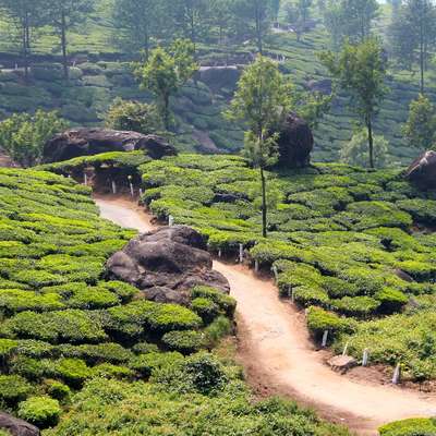 India