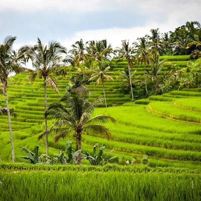 Indonesia