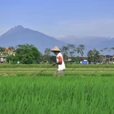 Indonesia