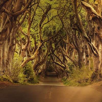 Ireland