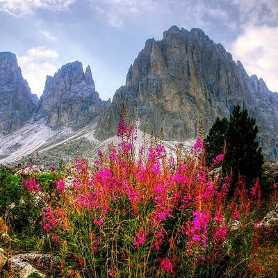 Italy