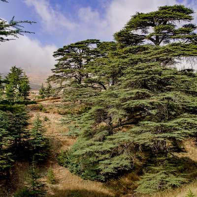 Lebanon