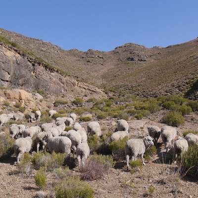 Lesotho