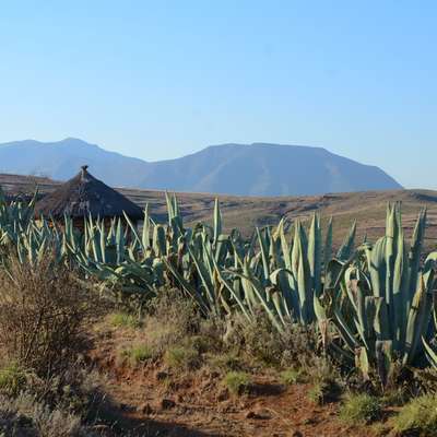Lesotho