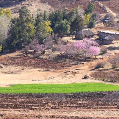 Lesotho