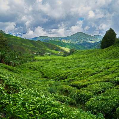 Malaysia