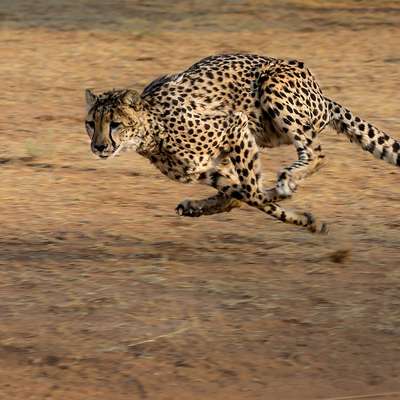 Namibia