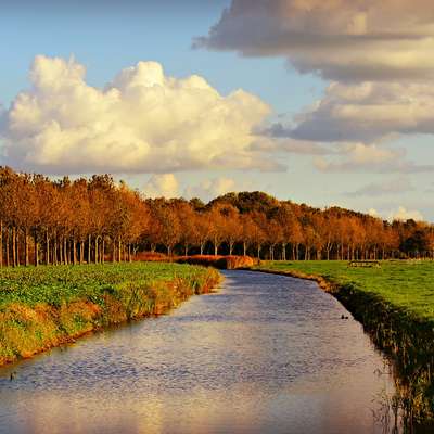 Netherlands
