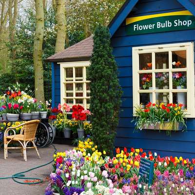 Netherlands
