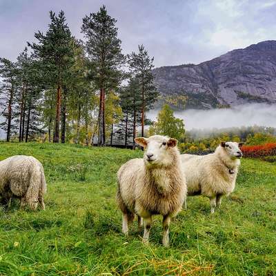 Norway