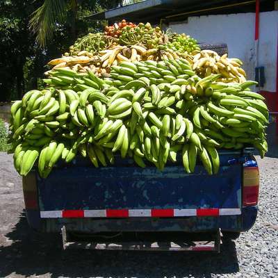 Panama