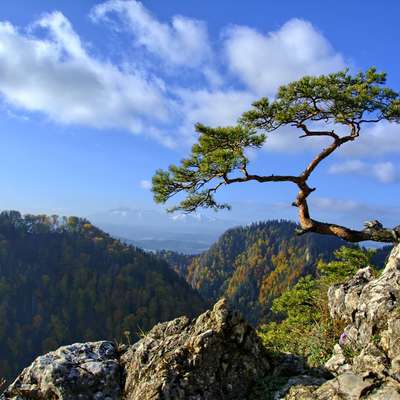 Poland