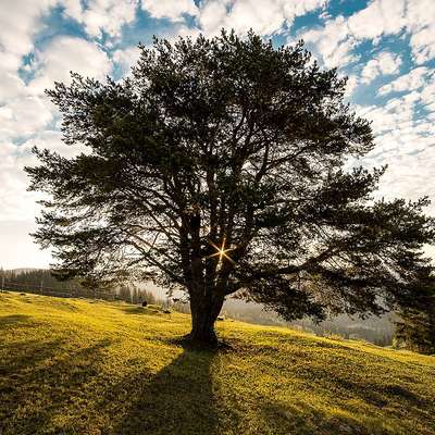 Romania