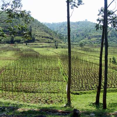 Rwanda