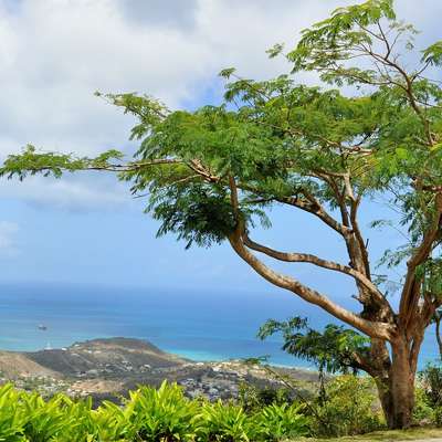 Saint Martin
