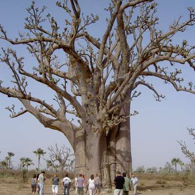 Senegal